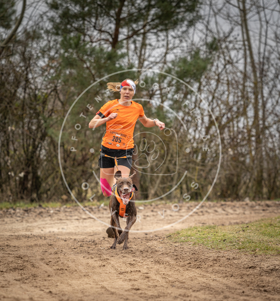 Pfotenfotografie_DV3A0230 | Hundefotografie, Tierfotograf, Pfotenfotografie, Fotoshooting Hund, Hunde Portrait, Hundesport, Hundeportraits, Heideshooting, Hunde, Sportfotograf, Hundefotograf, Turnierhundsport, THS,  - Realisiert mit Pictrs.com