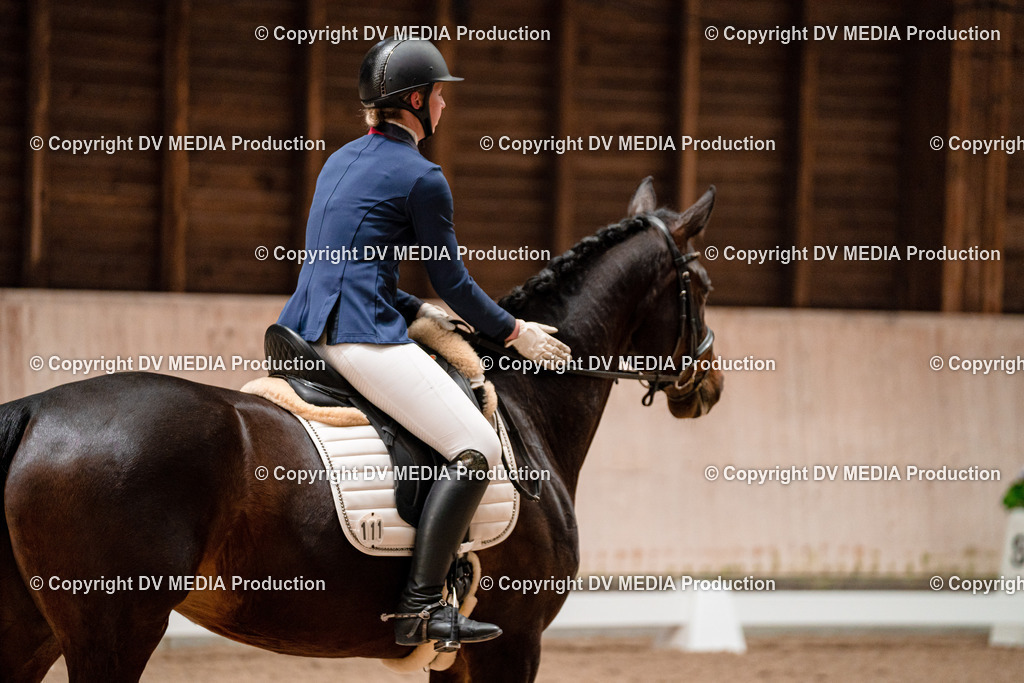 Dressur Tag 1 -084 | dv-media-shop - Realisiert mit Pictrs.com