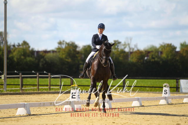 DKP45412 | Turniersportfotografie; Pferdefotografie; Dressurfotografie