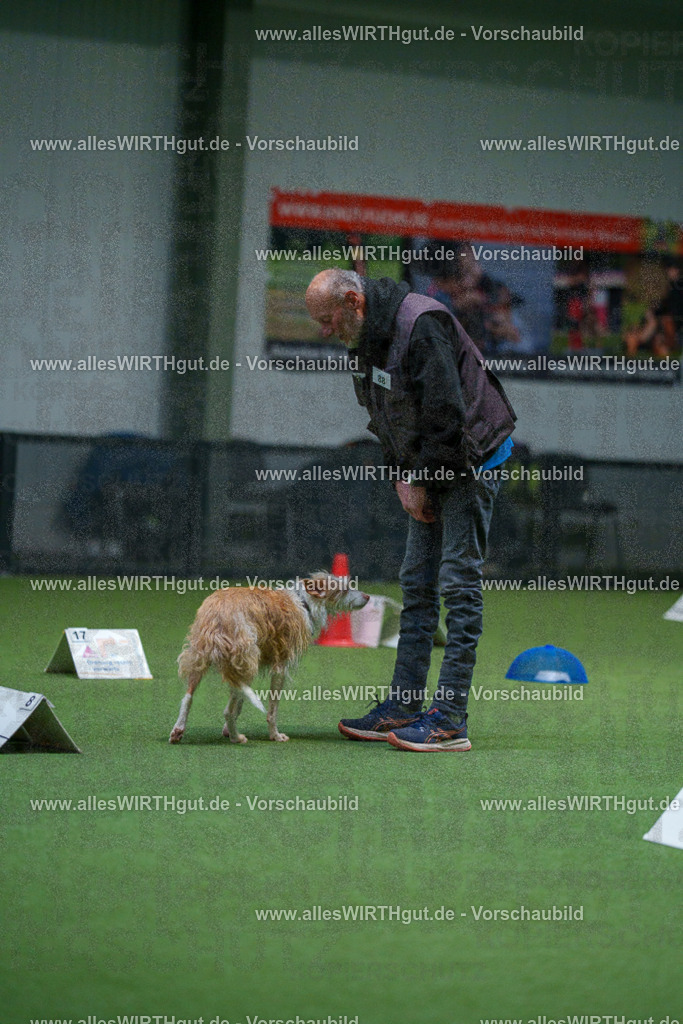 7R503604 | Professionelle Tierfotografie in Mönchengladbach von Daniel Wirth (allesWIRTHgut). Liebevolle & natürliche Bilder von Hunden & Katzen für unvergessliche Erinnerungen.