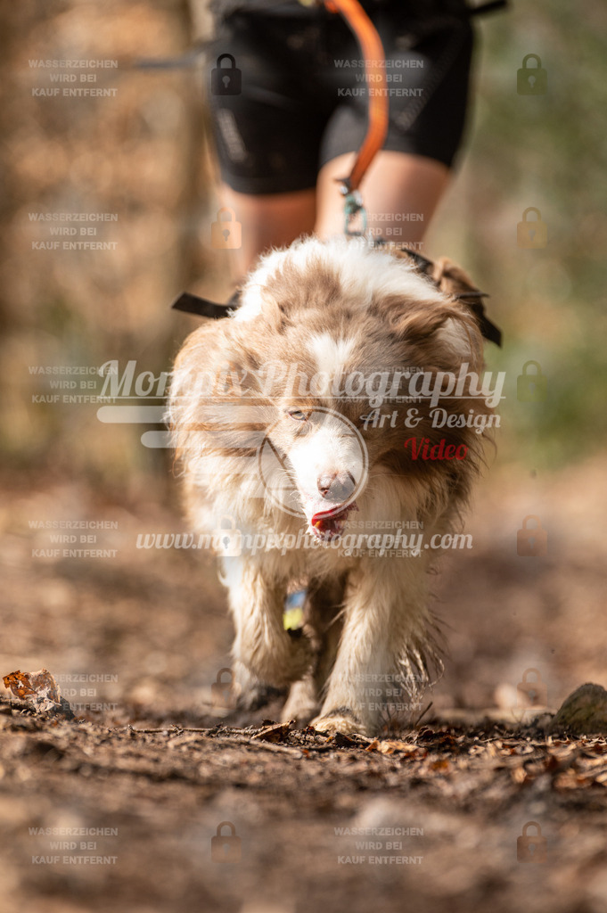 SPA_2023_DIM_Fun-7 | PayLife