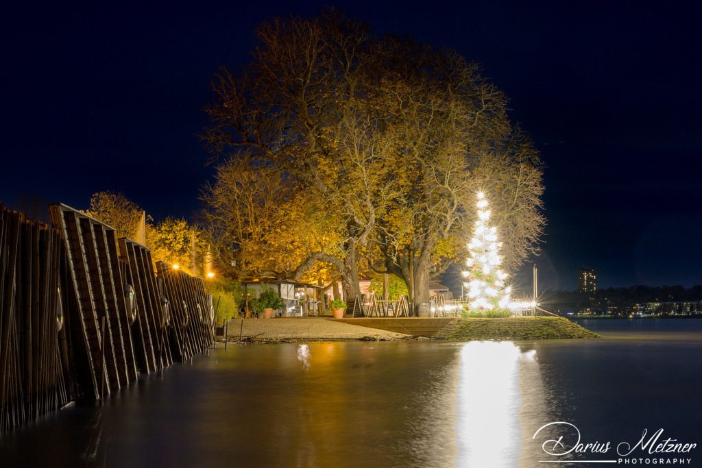Weihnachten in Mainz am Rhein | Weihnachten in Mainz am Rhein