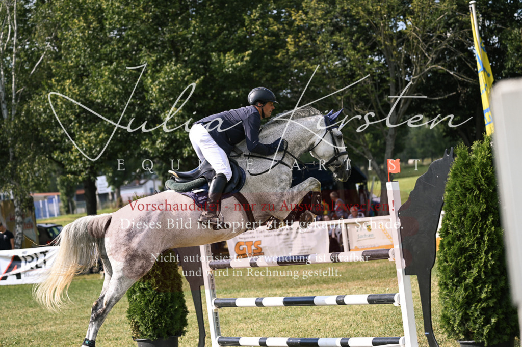 DSC_1021 | Pferde- und Turnierfotografie in Westsachsen. Pferdeportraits, Auftragszeichnungen und intuitive Kunst.