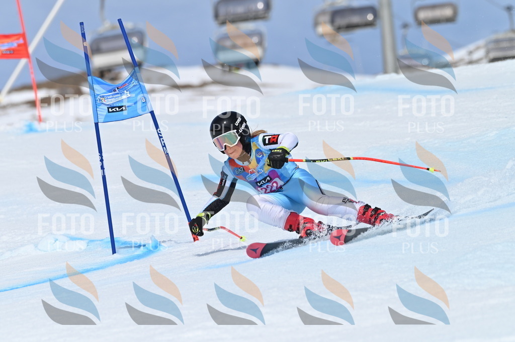 BGV_1356 | holidayphoto