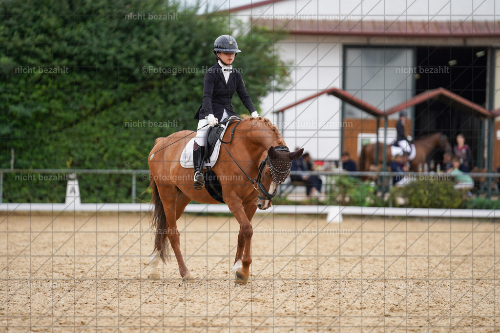20240825-FAH09974 | Turnierbilder, Reitsportfotos, LAPO, Landesponyturnier, Turnierfotografen Bayern
