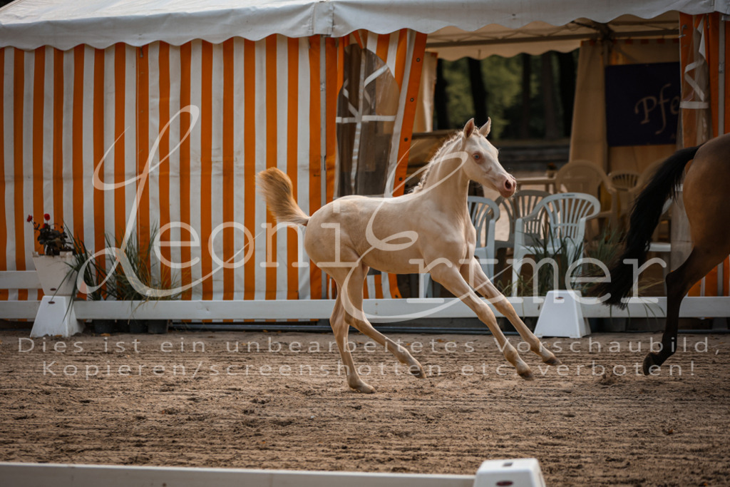 10.DoRP00052 | Leoni Ertmer Photography - Realisiert mit Pictrs.com