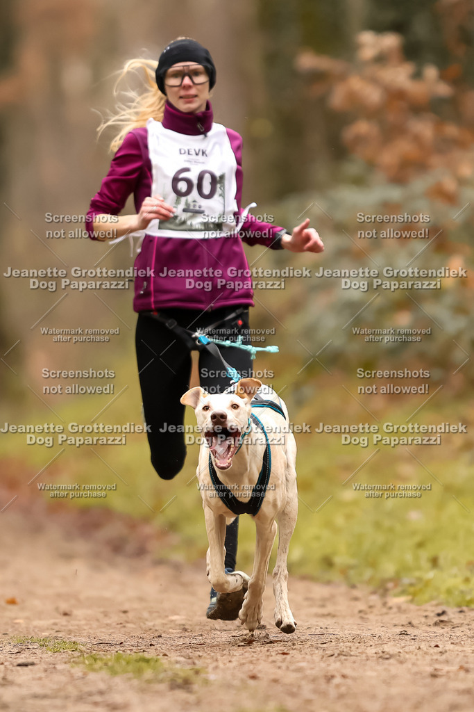 Dog Paparazzi - Speedhunter Mannheim  2025-177 | Dog Paparazzi Jeanette Grottendiek Fotografie & Videografie