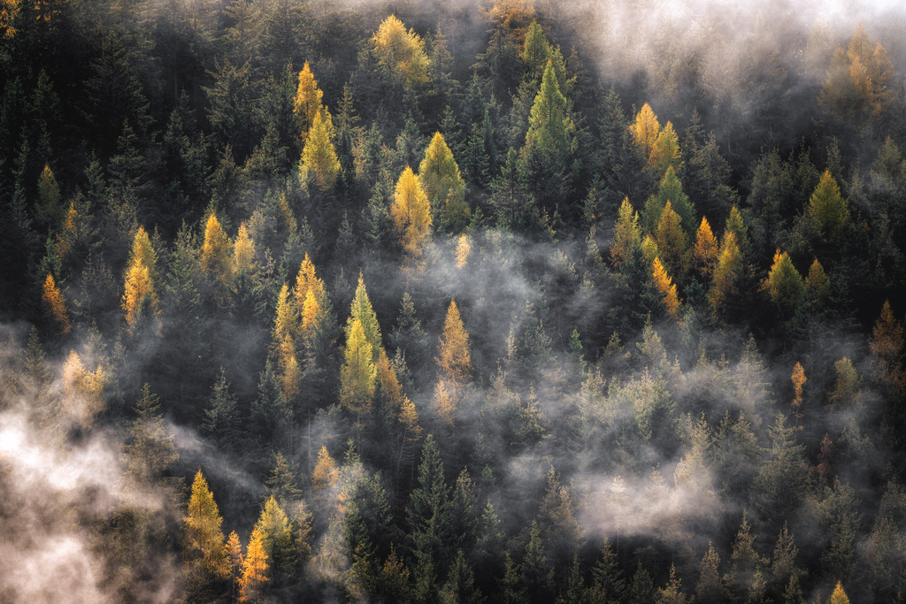 Herbst | Wandbilder - Florian Läufer - Realisiert mit Pictrs.com