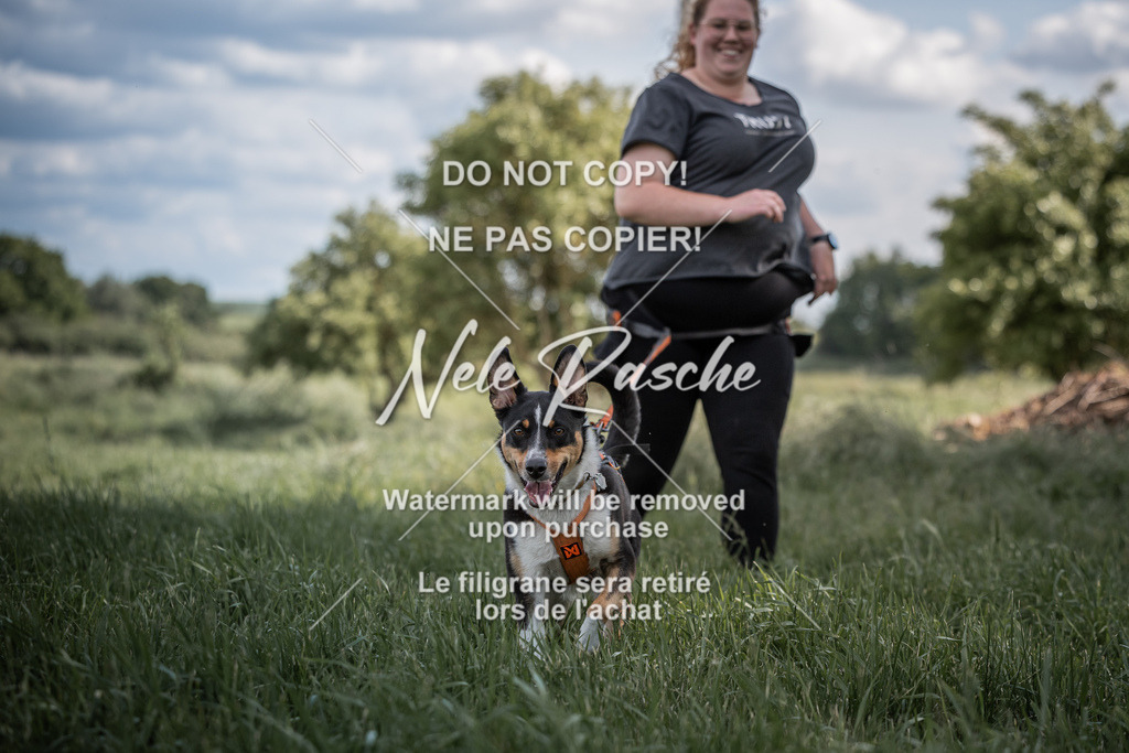 nelerasche_Do-spät_133 | nelerasche