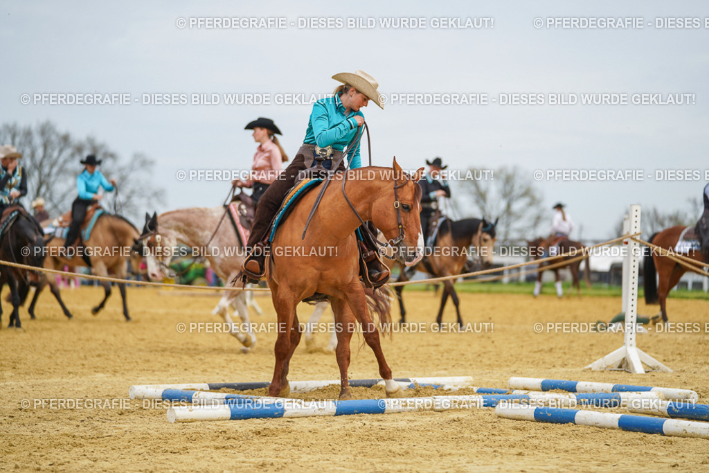 DSC03044 | Pferdegrafie