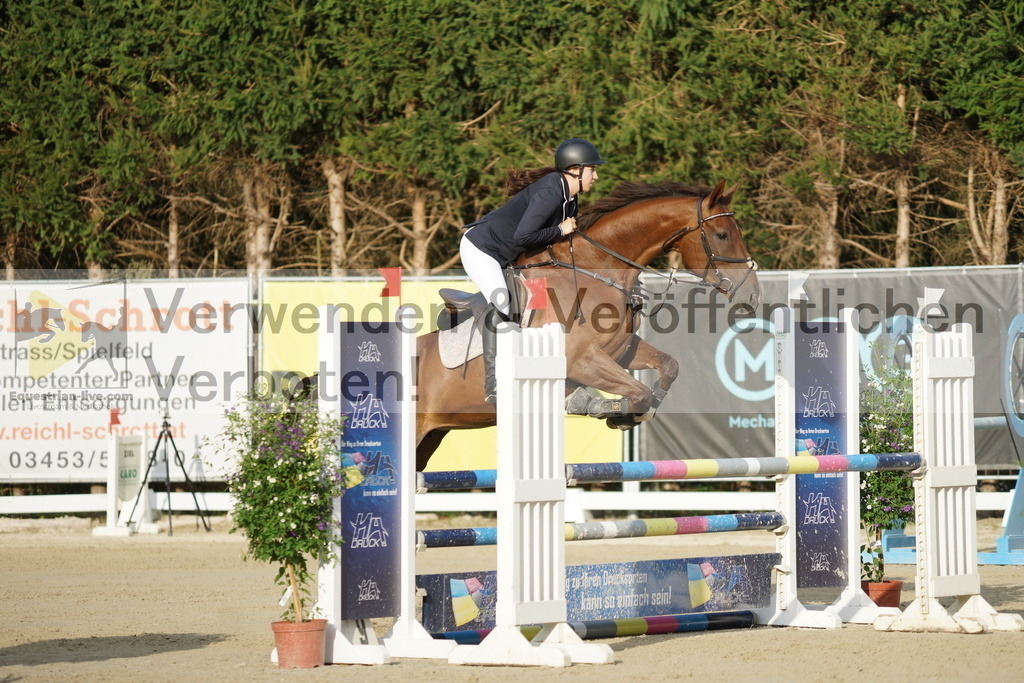 DSC01557 | equestrian-live-com
