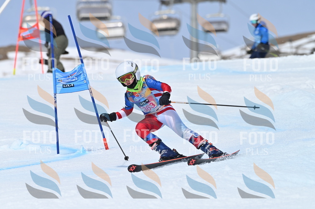 BGV_3901 | holidayphoto