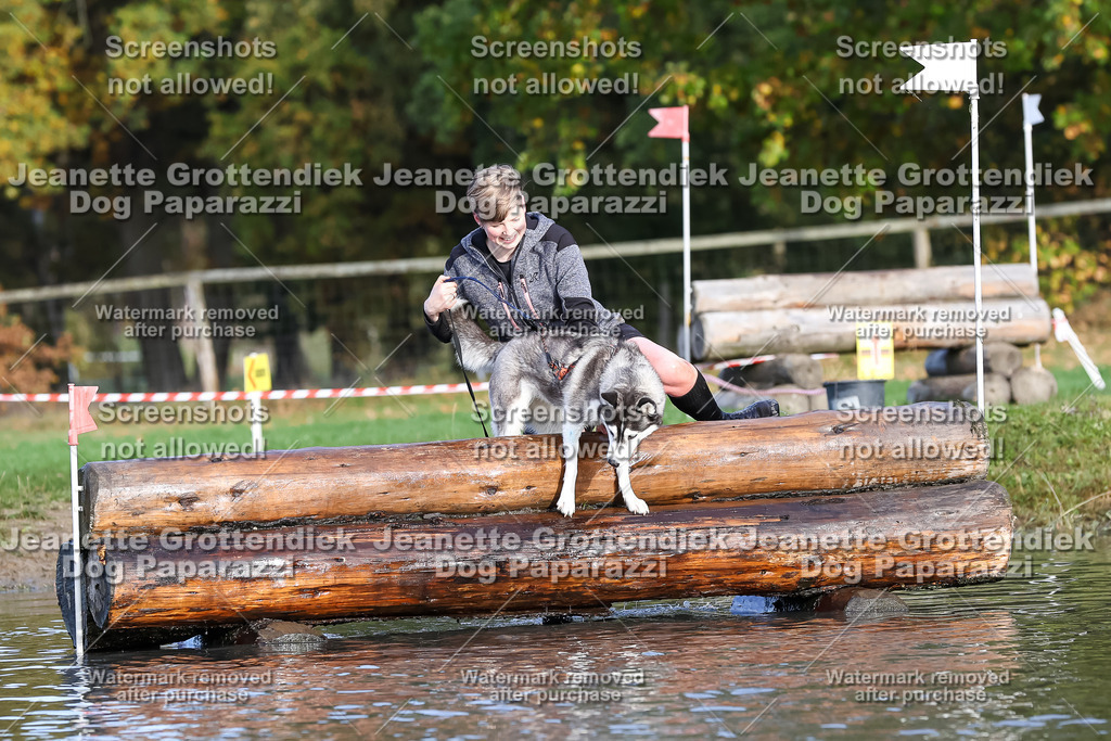 Dog Paparazzi - Strongdog 10-25-8349 | Dog Paparazzi Jeanette Grottendiek Fotografie & Videografie - Realisiert mit Pictrs.com