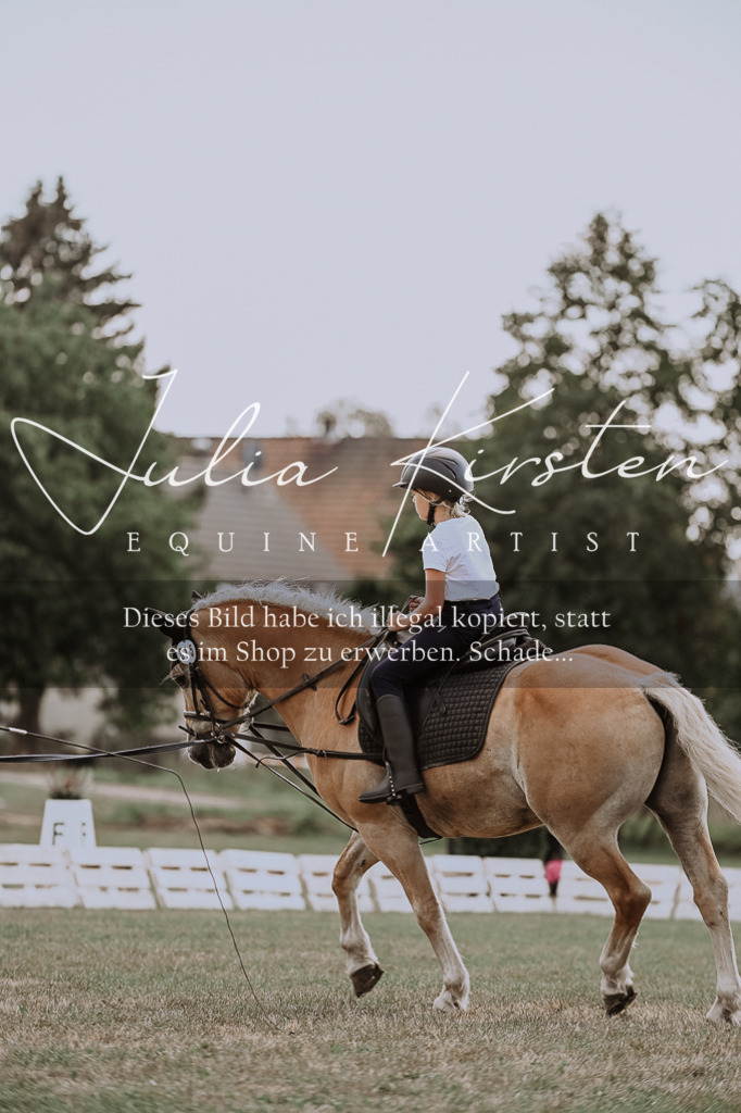 DSC_7671 | Pferde- und Turnierfotografie in Westsachsen. Pferdeportraits, Auftragszeichnungen und intuitive Kunst.