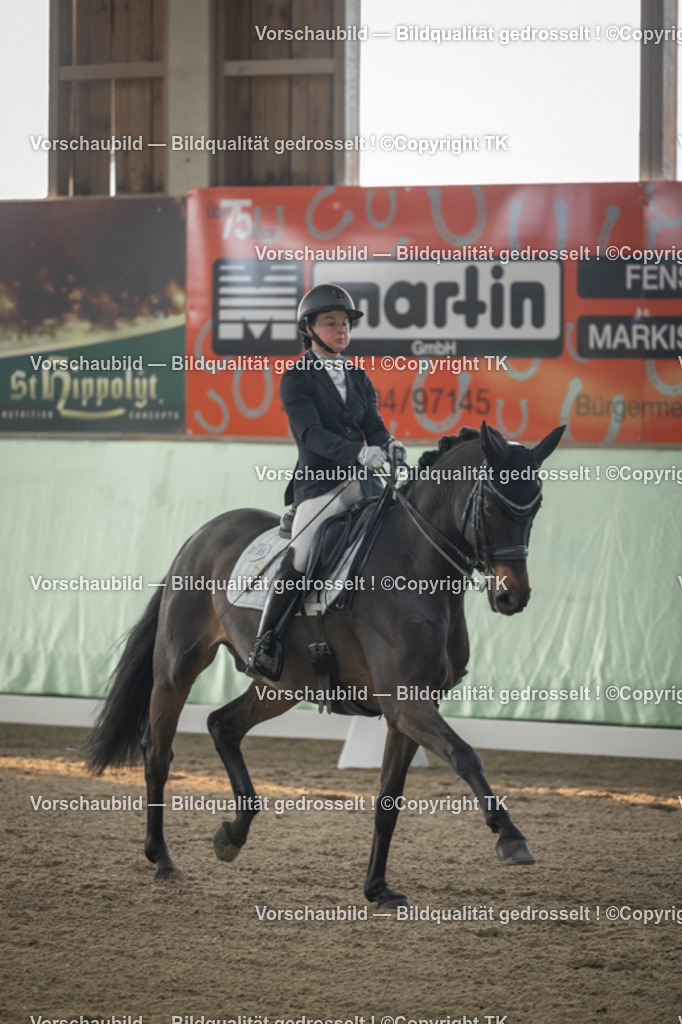 _D5A4070 | Emotionale Pferde- & People-Fotografie rund um Heidelberg, Leimen & Umgebung. Natürliche Fotos von Pferd, Mensch & Familie. Jetzt Termin sichern!
