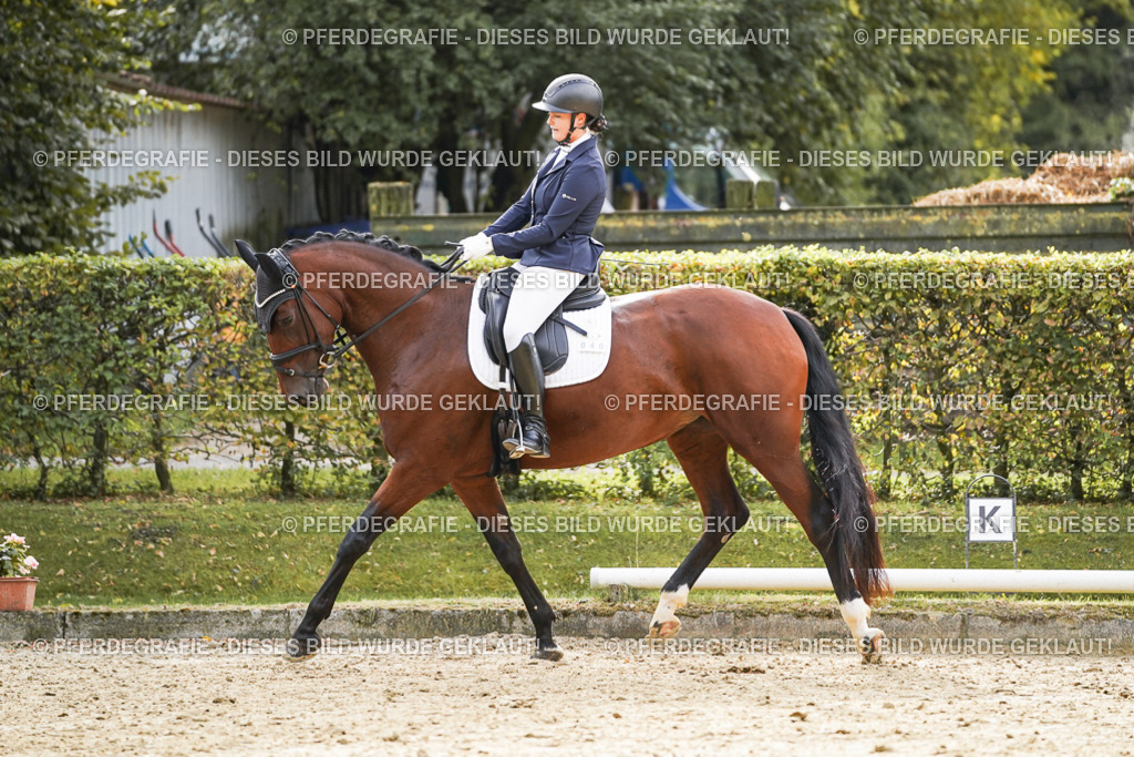 DSC09389 | Pferdegrafie