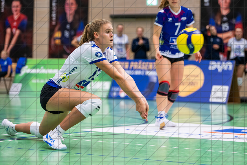 2. VBLF Nord 25/26 | Spiel 4017 | VC Osnabrück vs. Potsdam II | KOOPMANN Lea (VC Osnabrück e.V. #13)  //  25.10.25: 2. VBLF Nord 25/26 | Spiel 4017 | VC Osnabrück vs. Potsdam II / Osnabrück / Deutschland  //   CREDIT:www.bullenfotos.de, Martin König, Hörner Weg 40, D-49078 Osnabrück, +4917663732967 // Nutzung und Weitergabe nur zu den vereinbarten Zwecken. Presseanfragen an Ersteller. Alle Rechte beim Ersteller. Honorierung nach MFM. - Realisiert mit Pictrs.com