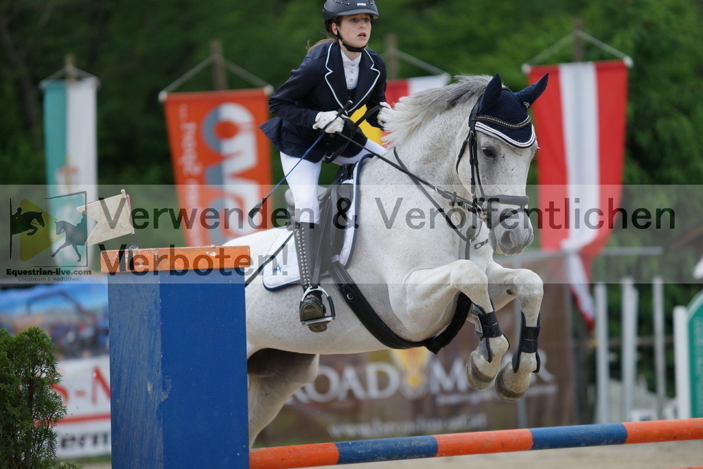 DSC07151 | equestrian-live-com