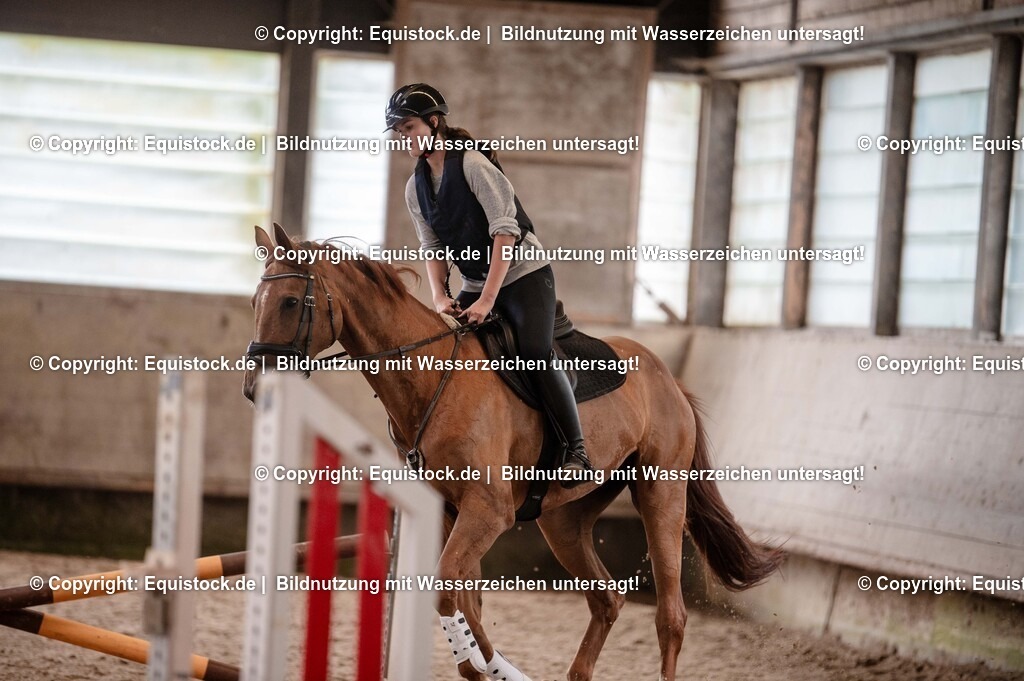 20250725_Vielseitigkeitslehrgang-Marbach_0189 | Foto: Thomas Hartig