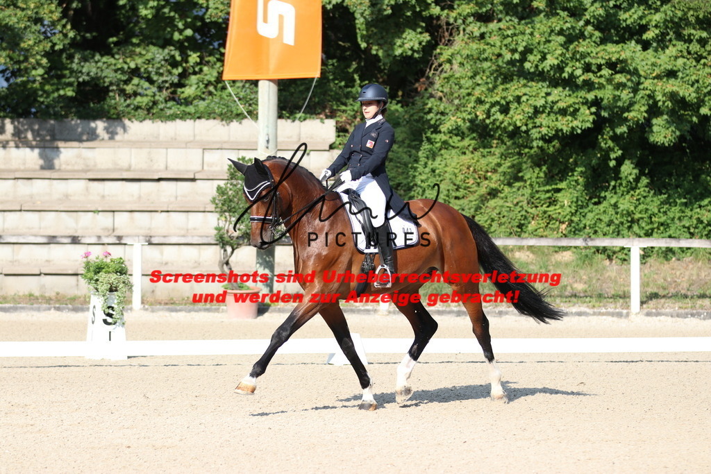 IMG_8860 | lmwpictures - Realisiert mit Pictrs.com