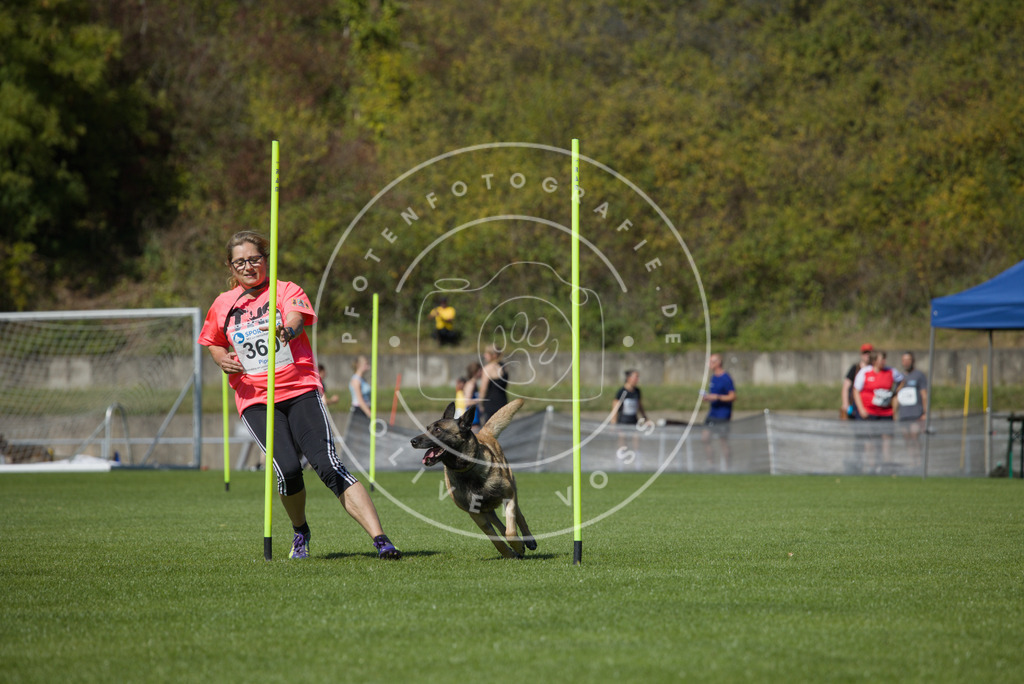 0L8A6513 | Hundefotografie, Tierfotograf, Pfotenfotografie, Fotoshooting Hund, Hunde Portrait, Hundesport, Hundeportraits, Heideshooting, Hunde, Sportfotograf, Hundefotograf, Turnierhundsport, THS,  - Realisiert mit Pictrs.com