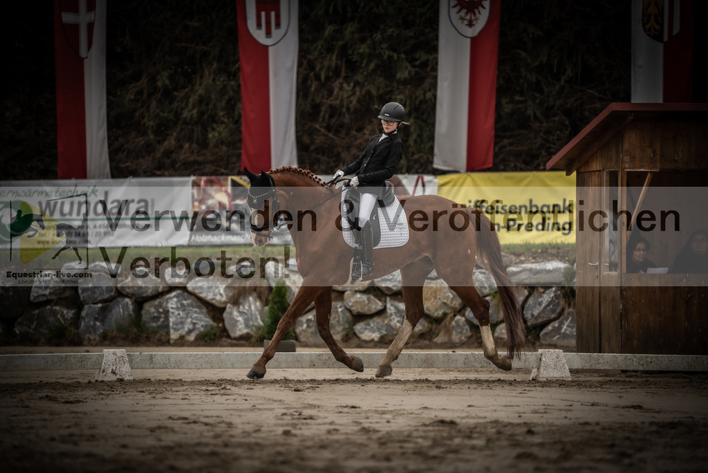 DSC_0131 | equestrian-live-com