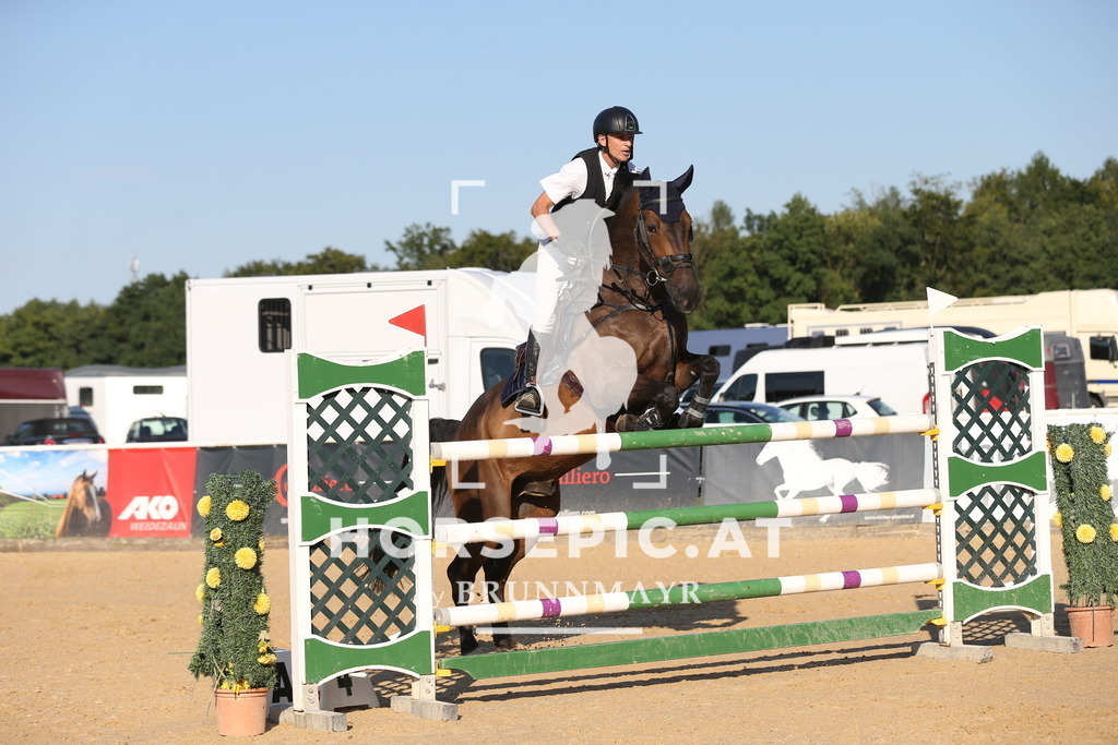 DL2Q0679 | Willkommen bei Brunnmayr - Design & Fotografie – Ihrem Spezialisten für Reitturniere und Pferdeveranstaltungen in Oberösterreich, Salzburg und Bayern! Seit über 17 Jahren sind wir leidenschaftlich dabei.