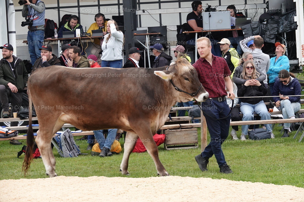 DSC00680 | Schwingen - Realisiert mit Pictrs.com