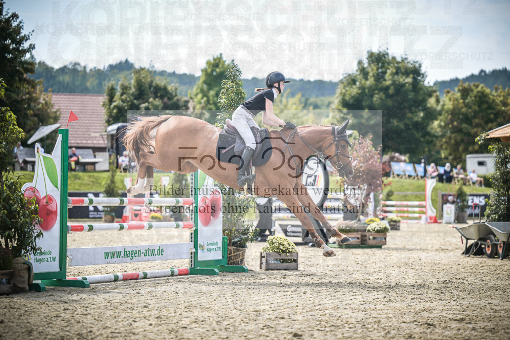 DOS_7355 | Entdecke hochwertige Reitturnierfotos von Foto Oger. Professionell, emotional und authentisch – jetzt Lieblingsmomente im Shop bestellen.Deutschlandweite Turnierfotografie. - Realisiert mit Pictrs.com