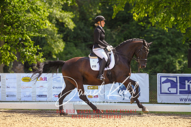 DKP42556 | Turniersportfotografie; Pferdefotografie; Dressurfotografie