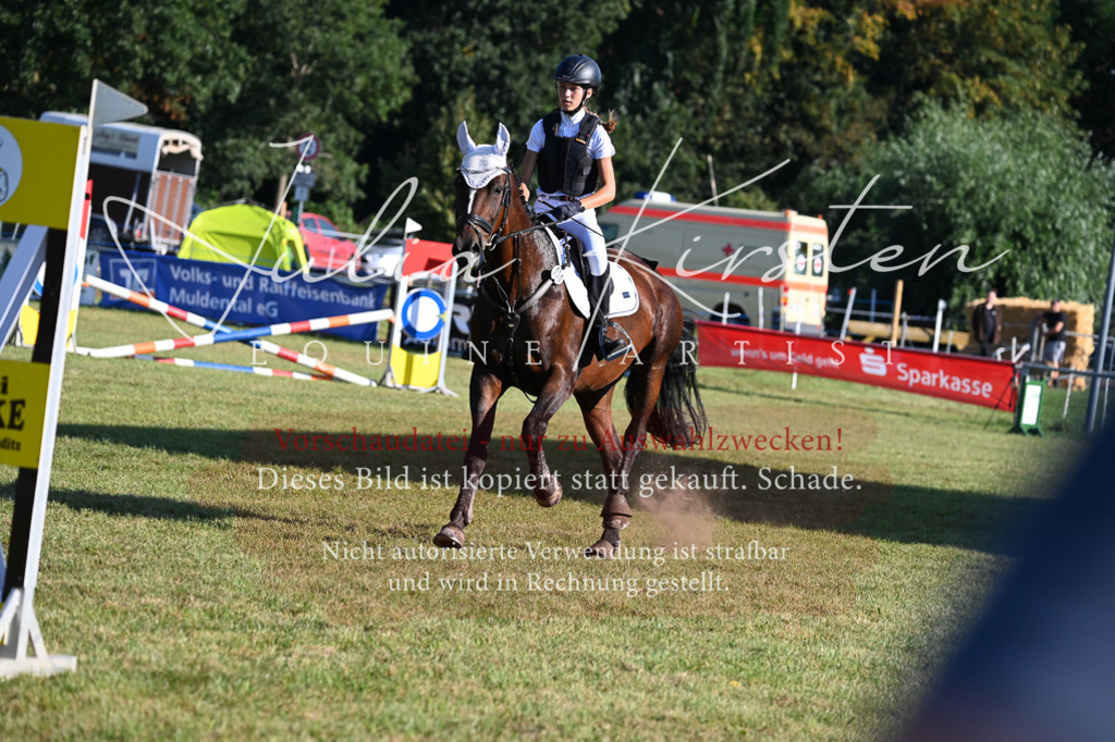 DSC_4930 | Pferde- und Turnierfotografie in Westsachsen. Pferdeportraits, Auftragszeichnungen und intuitive Kunst.