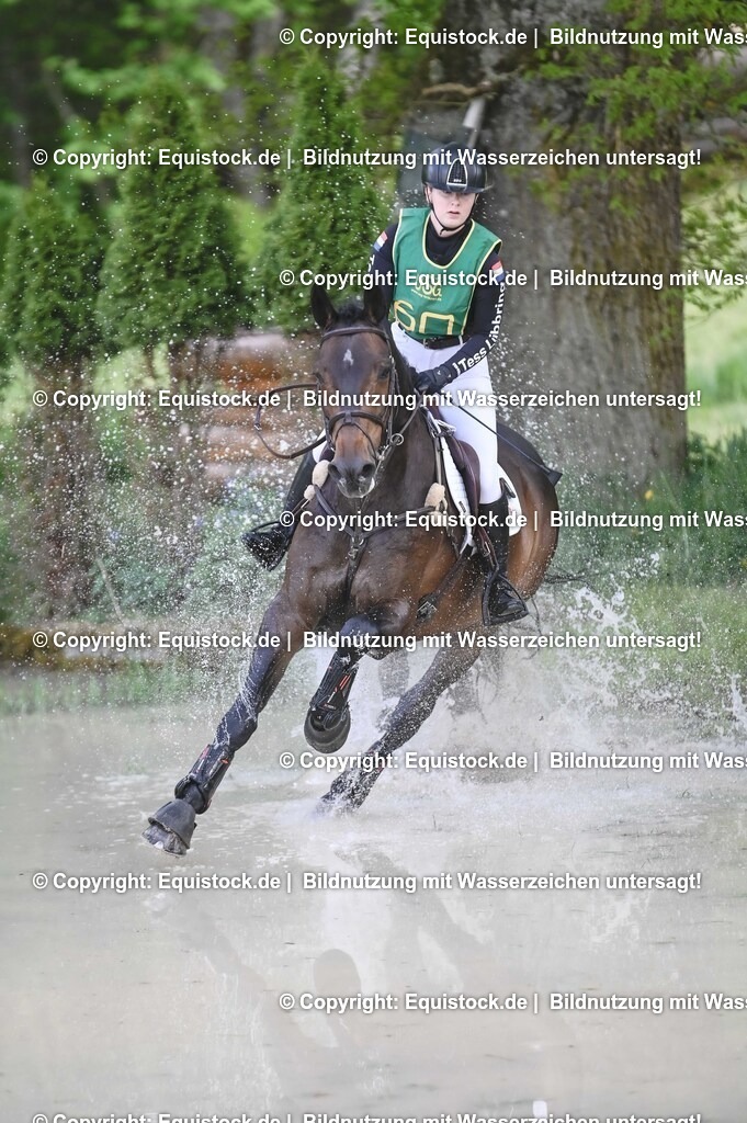 20250517_CCI1_Gelände_0854 | Foto: Thomas Hartig