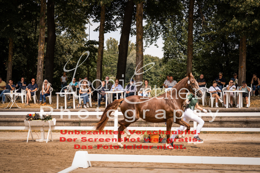 3.Fr00068 | Leoni Ertmer Photography - Realisiert mit Pictrs.com