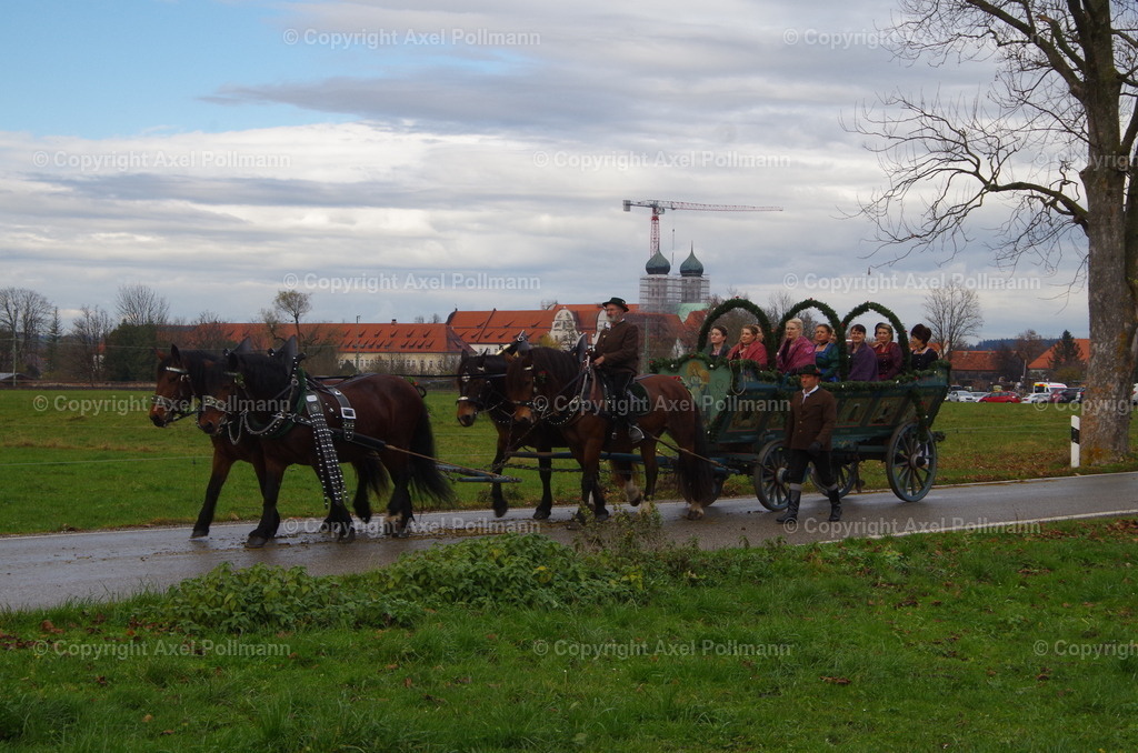 IMGP0361 | fotografiert von Axel PollmannLeonhardi Wallfahrt Benediktbeuern und Murnau, Fronleichnam, Fasching, Landschaft im Loisachtal und Benediktbeuern  - Realisiert mit Pictrs.com