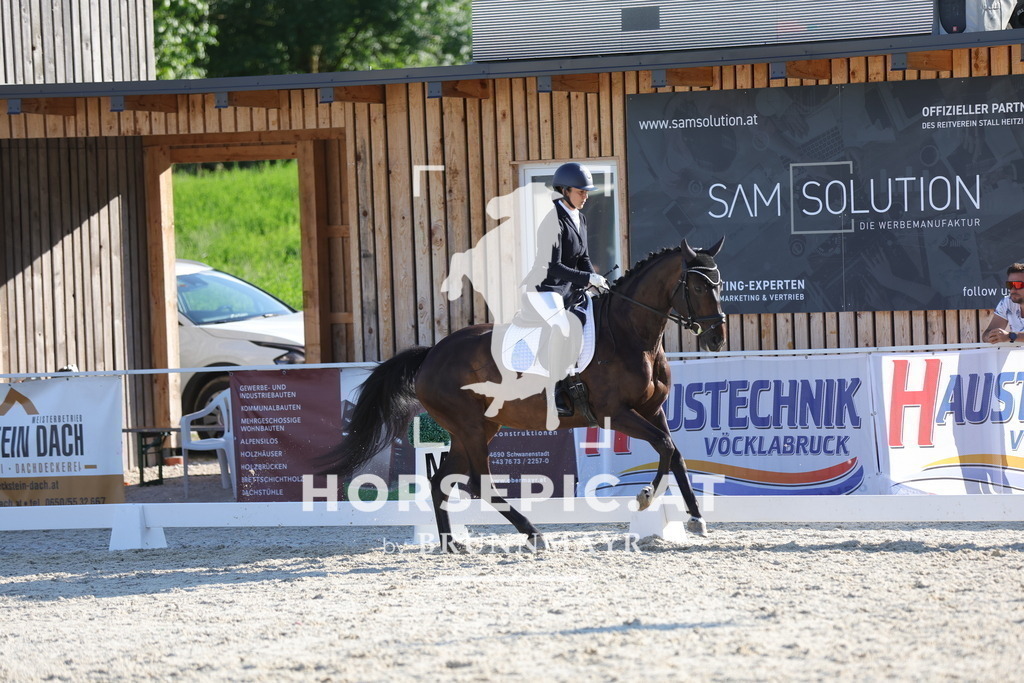 0P6A3141 | Willkommen bei Brunnmayr - Design & Fotografie – Ihrem Spezialisten für Reitturniere und Pferdeveranstaltungen in Oberösterreich, Salzburg und Bayern! Seit über 17 Jahren sind wir leidenschaftlich dabei.
