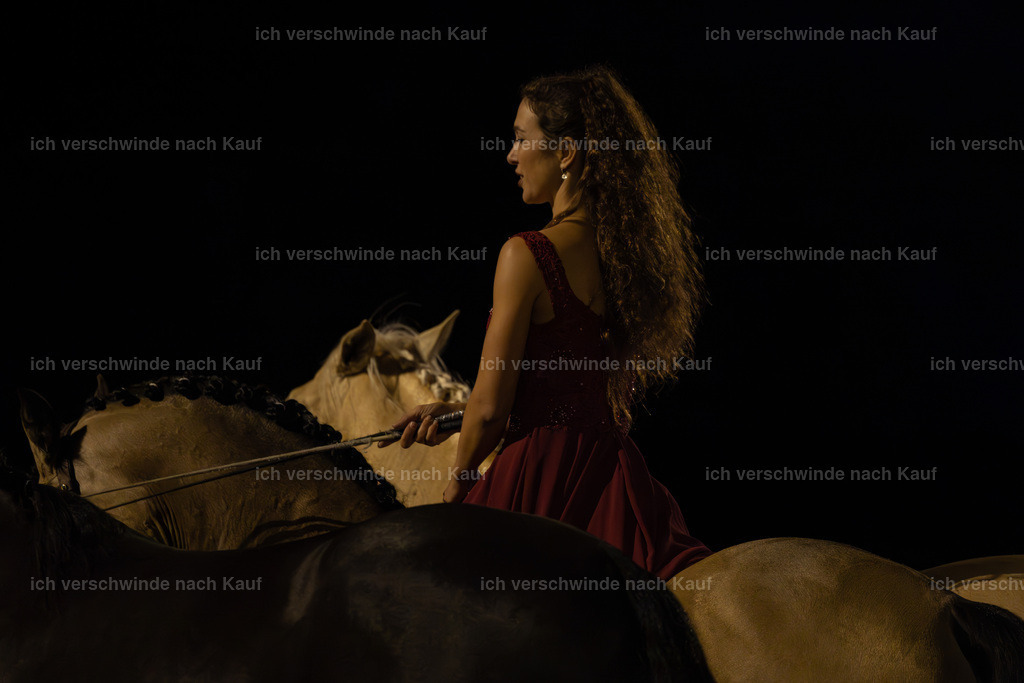 FHClassics-352 | working equitationturnier fotograf videograf stoibphotography marixx film working equitation deutschland reitsport turnierfotografie eventfotografie equestrian events