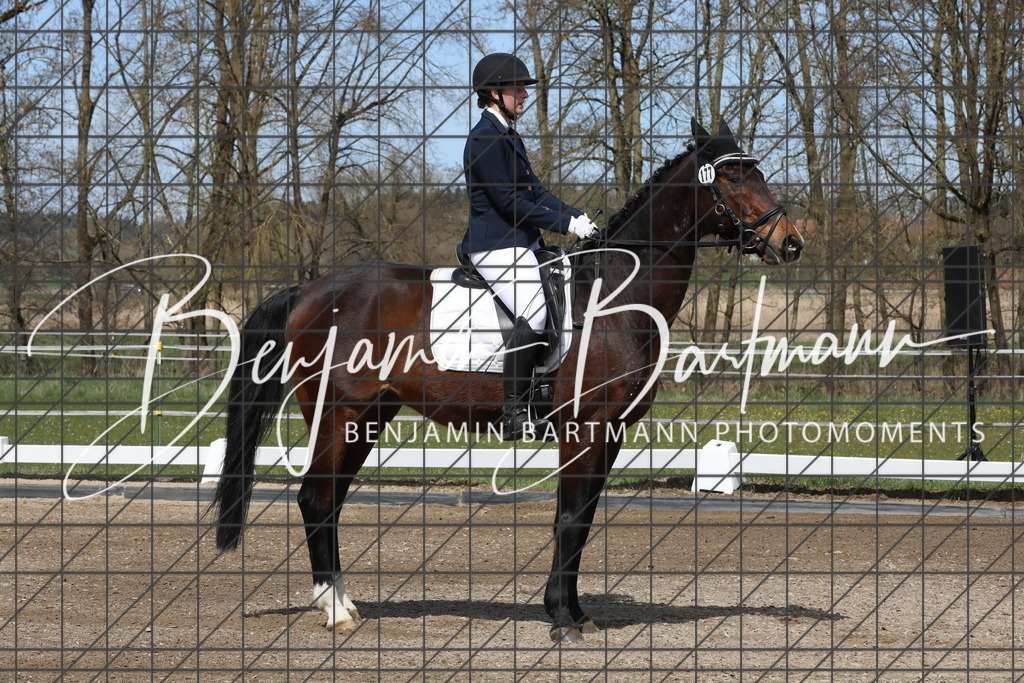 AZ2A3894 | Benjamin Bartmann Photomoments