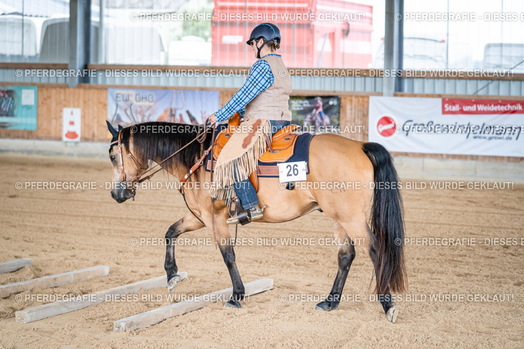 DSC08219 | Pferdegrafie