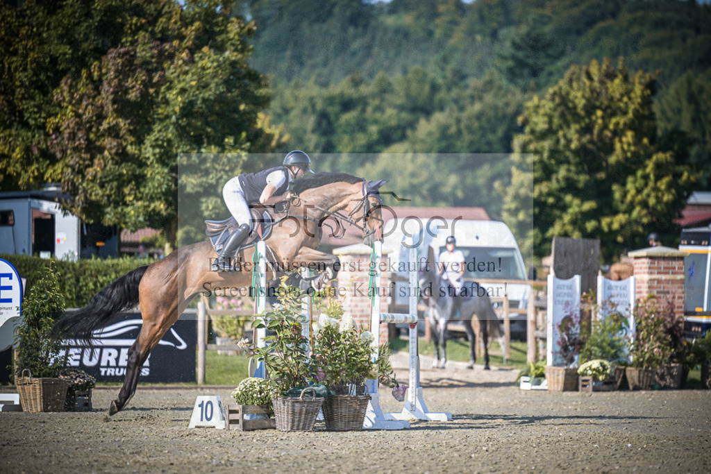 DOS_3238 | Entdecke hochwertige Reitturnierfotos von Foto Oger. Professionell, emotional und authentisch – jetzt Lieblingsmomente im Shop bestellen.Deutschlandweite Turnierfotografie. - Realisiert mit Pictrs.com