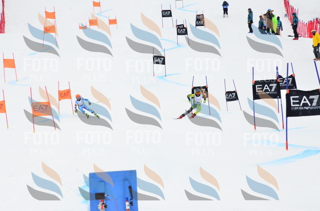 _ELE3979 | holidayphoto