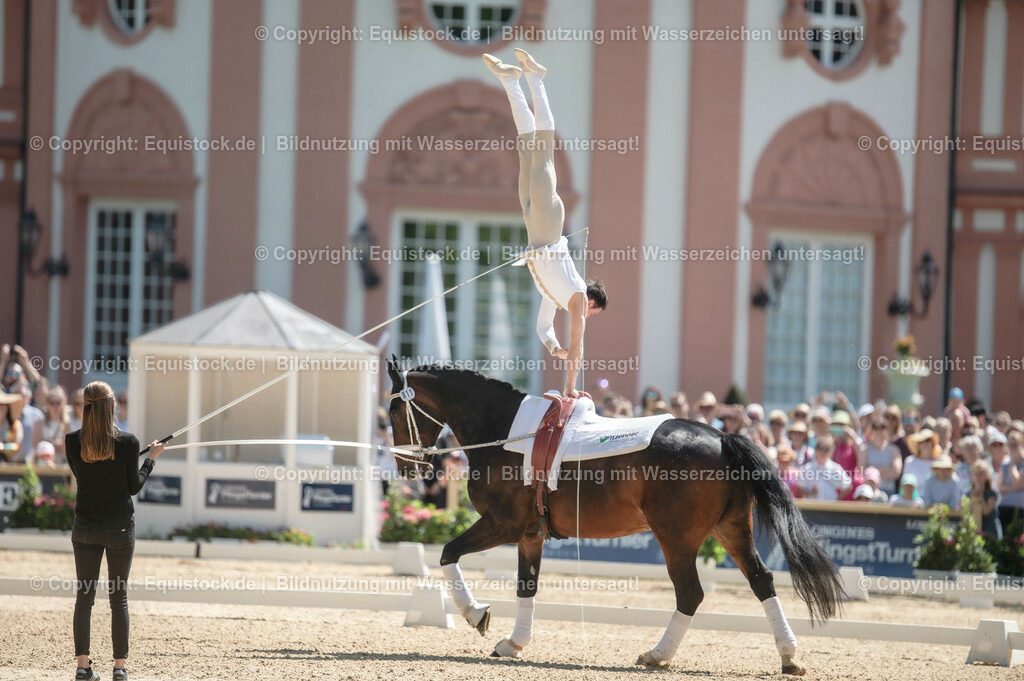 20230528_Voltigieren_NASPA_0177 | equistock