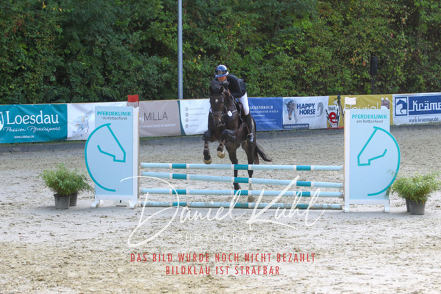 DKP40118 | Turniersportfotografie; Pferdefotografie; Dressurfotografie