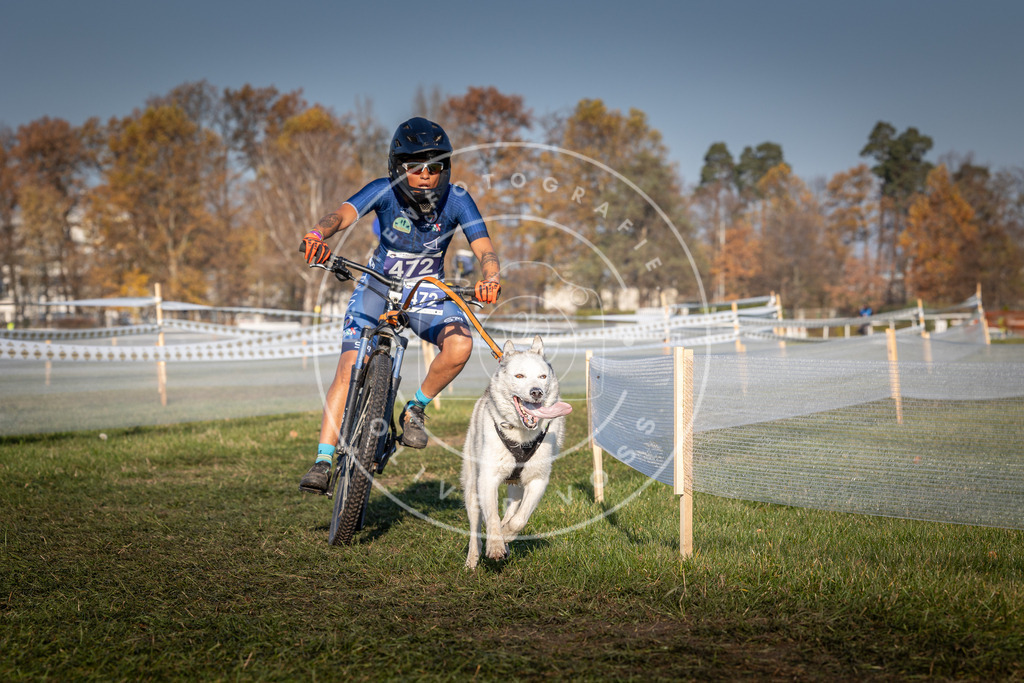 CaniXpix_0L8A4610 | Hundefotografie, Tierfotograf, Pfotenfotografie, Fotoshooting Hund, Hunde Portrait, Hundesport, Hundeportraits, Heideshooting, Hunde, Sportfotograf, Hundefotograf, Turnierhundsport, THS,  - Realisiert mit Pictrs.com