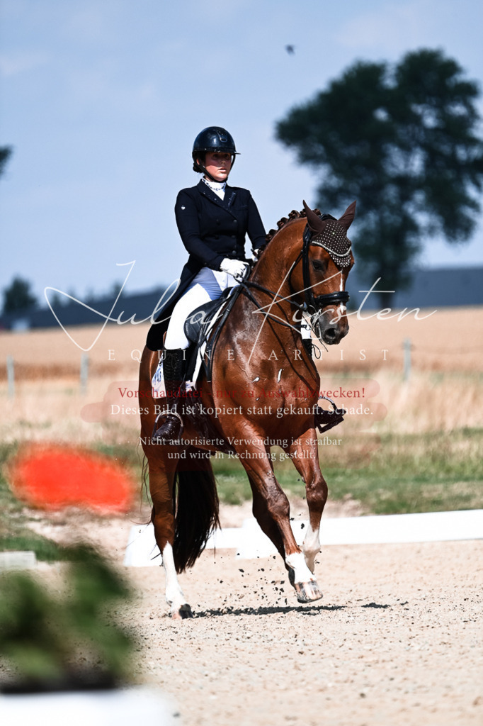 DSC_2861 | Pferde- und Turnierfotografie in Westsachsen. Pferdeportraits, Auftragszeichnungen und intuitive Kunst.