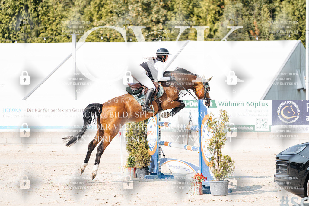 CK902126 | Turnierfotografie Pferdefotografie Trier Rheinland-Pfalz Pferdesport Reitsport Tierfotografie Sportfotografie Pferdevideo Pferdevideografie Equestrianvideography equestrianphotography  - Realisiert mit Pictrs.com