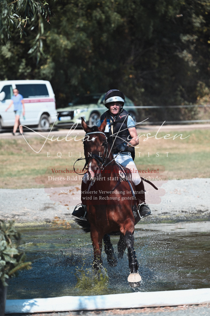 DSC_8487-2 | Pferde- und Turnierfotografie in Westsachsen. Pferdeportraits, Auftragszeichnungen und intuitive Kunst.