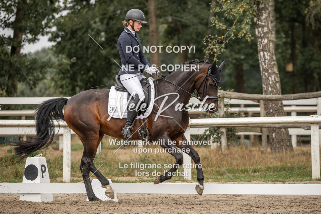 nelerasche_DrL_Ede_187 | nelerasche