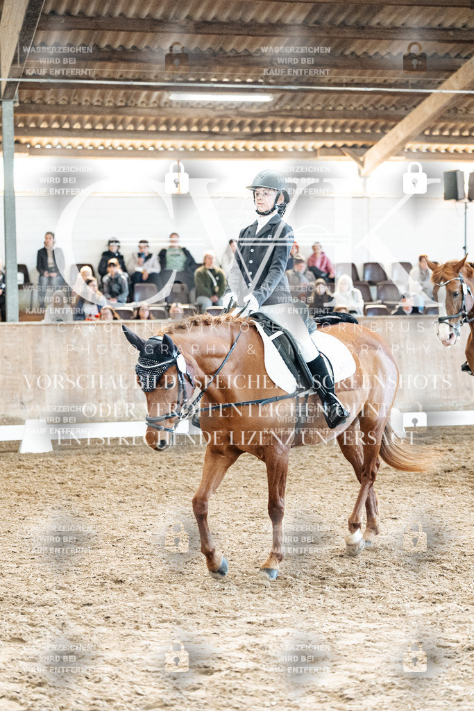 CK909984 | Turnierfotografie Pferdefotografie Trier Rheinland-Pfalz Pferdesport Reitsport Tierfotografie Sportfotografie Pferdevideo Pferdevideografie Equestrianvideography equestrianphotography  - Realisiert mit Pictrs.com