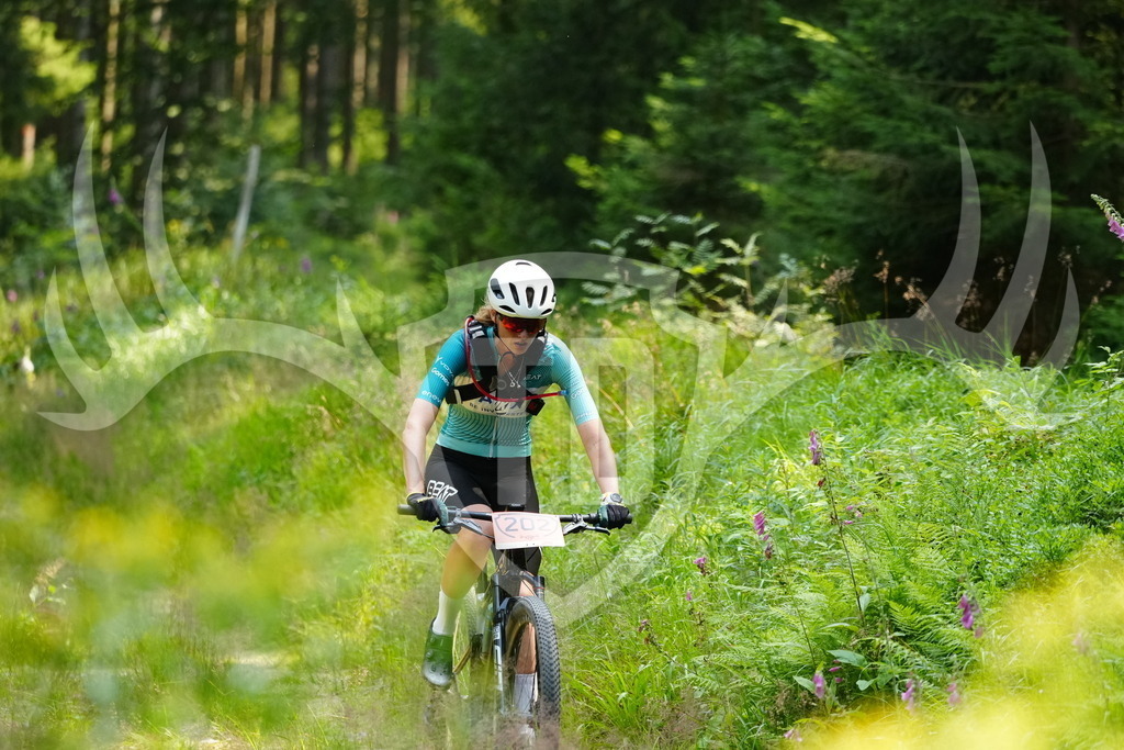 FC103159 | Fotogalerie der Treibjagd im Dunkelwald - Dein MTB Etappenrennen im Erzgebirge - Realisiert mit Pictrs.com