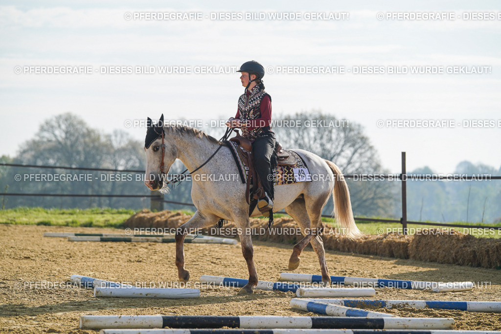 DSC00849 | Pferdegrafie